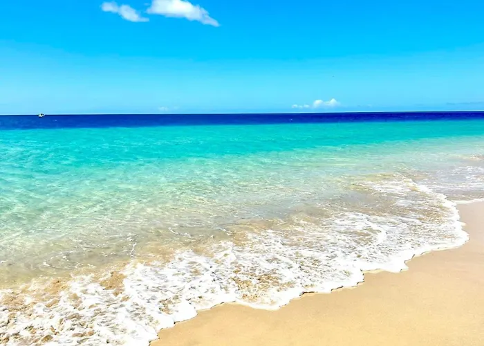 El Palmeral - Exlusive With Private, Heated Pool In